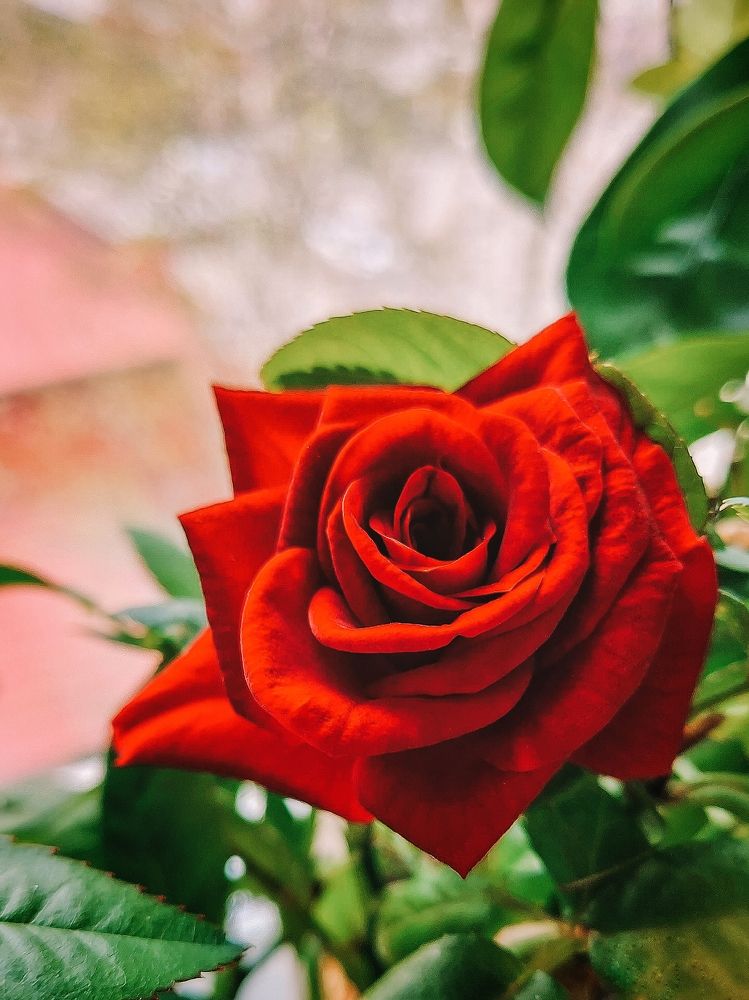 Фотография автора Анастасия Руднева