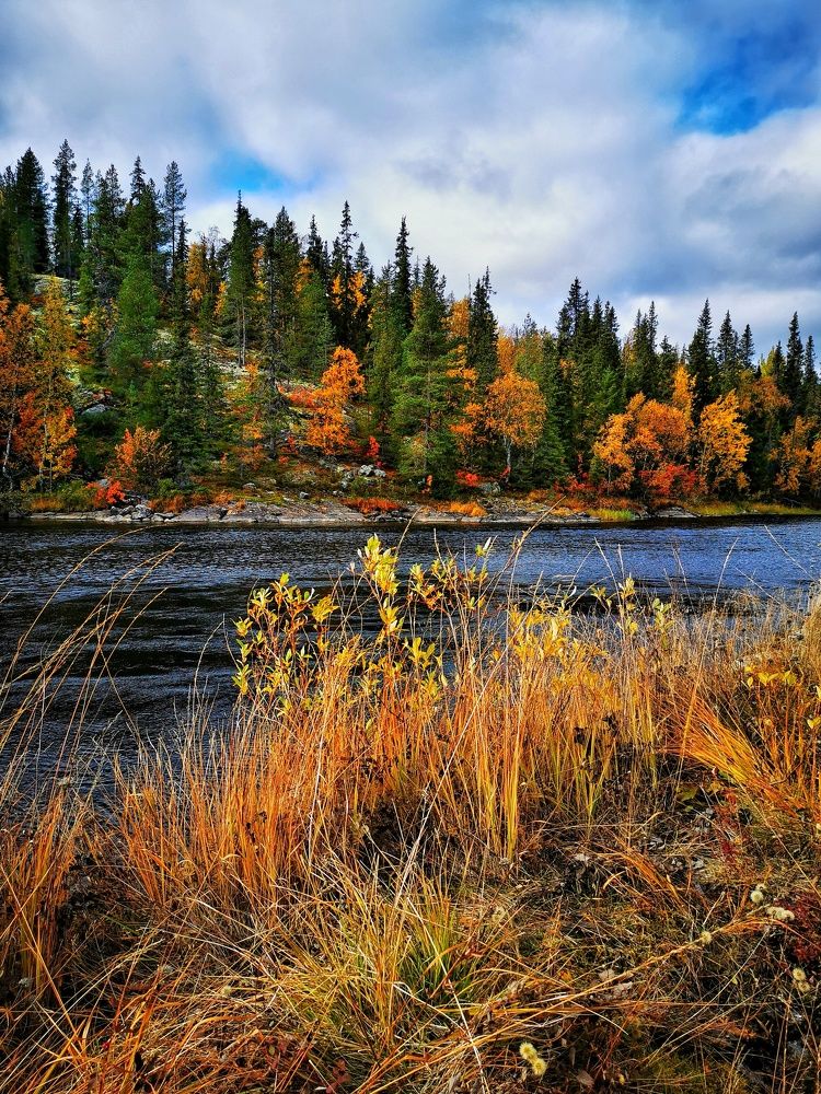 Photograph by Елена Артёменко