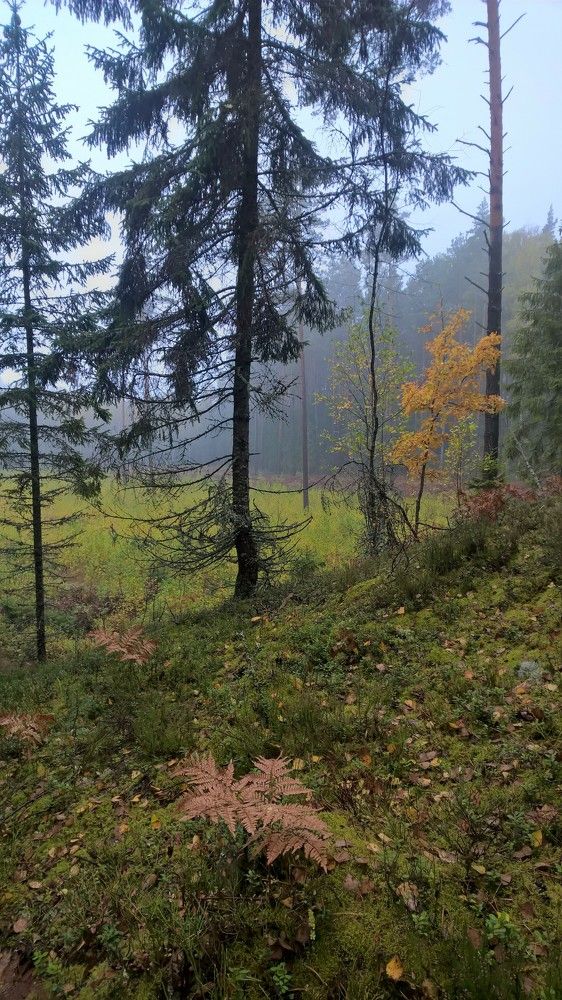 Photograph by Андрей Михайлов