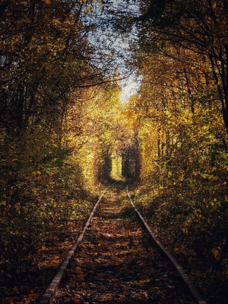 Осенний пейзаж