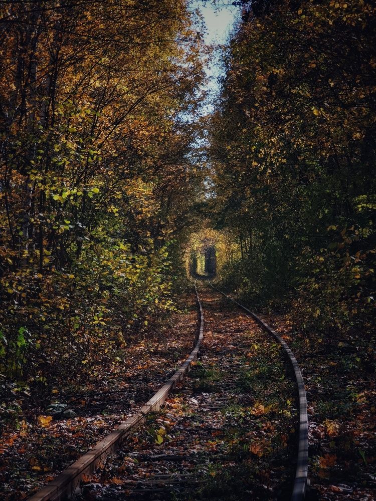 Осенняя железная дорога