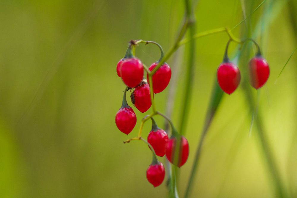 Photograph by Алексей Чеботарев