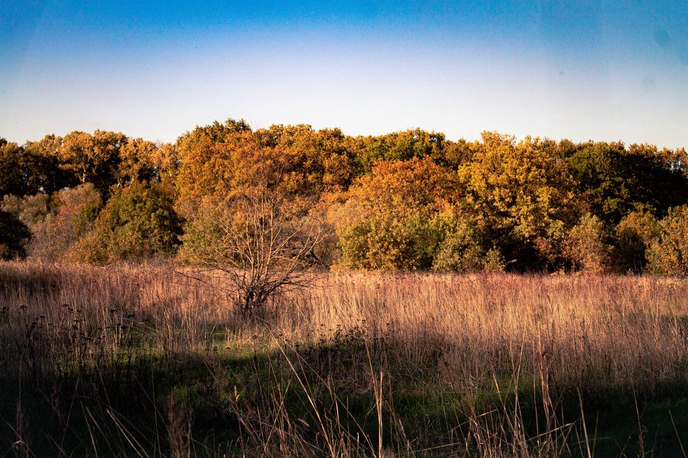 Фотография автора Миша Тараниченко