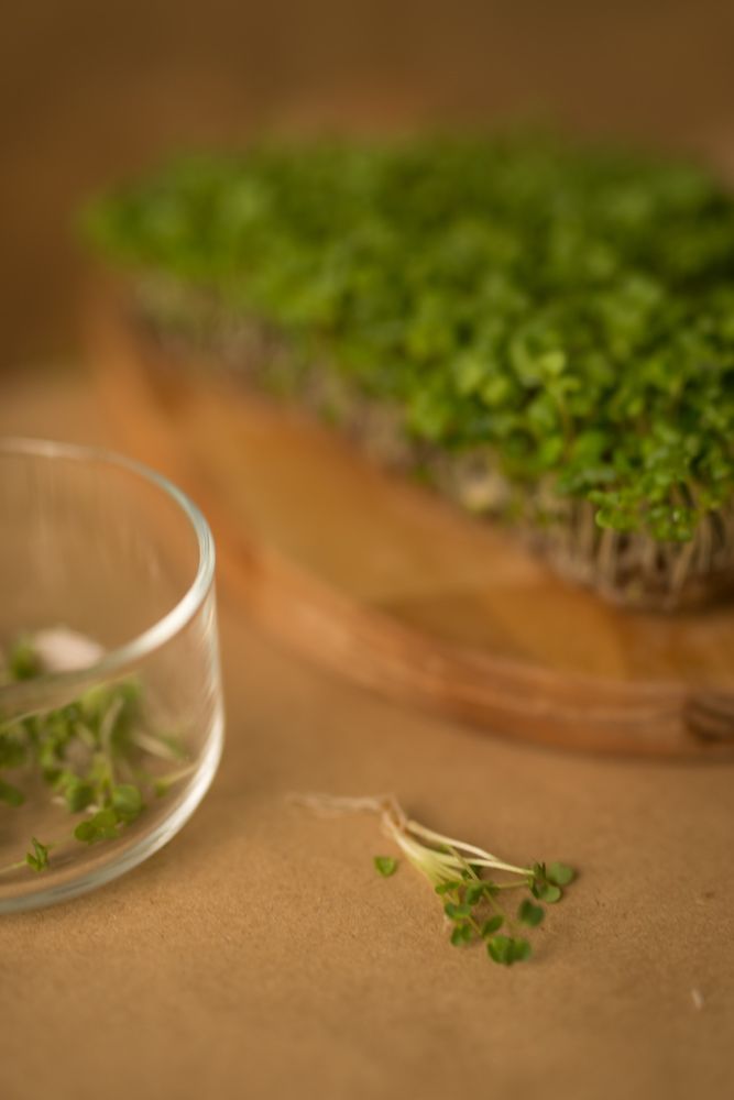 Photograph by Анастасия Павловна