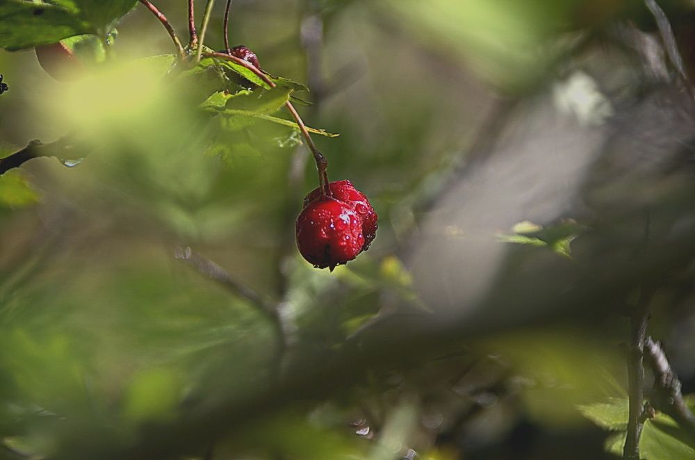 Photograph by Александр