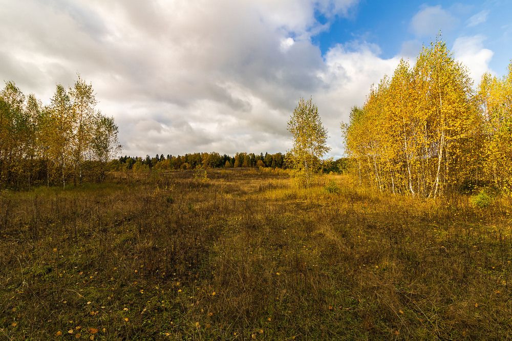 Photograph by Алексей Чеботарев