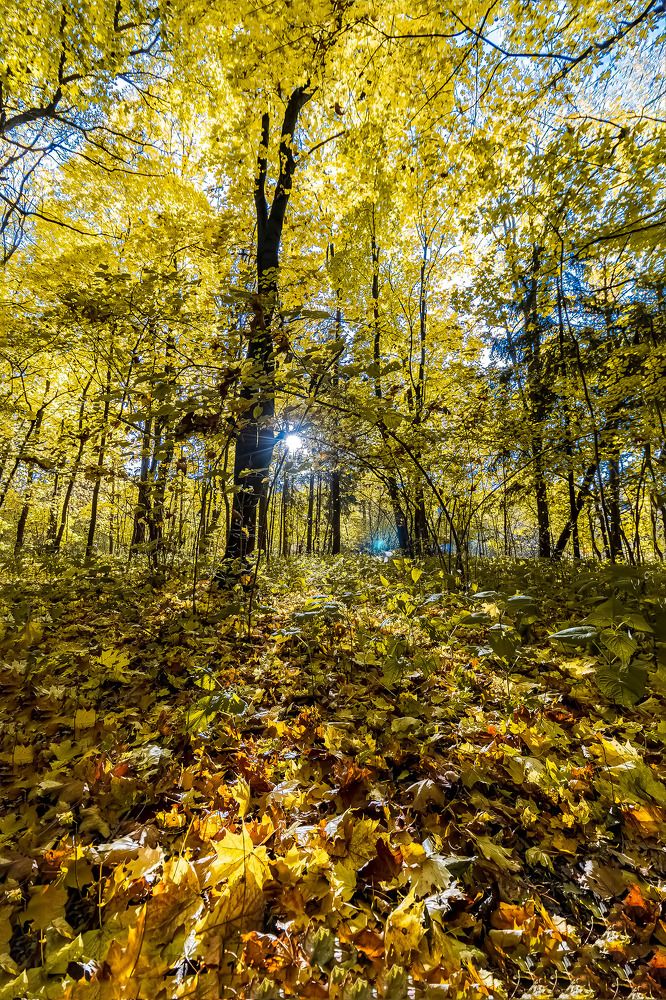 Photograph by Алексей Чеботарев