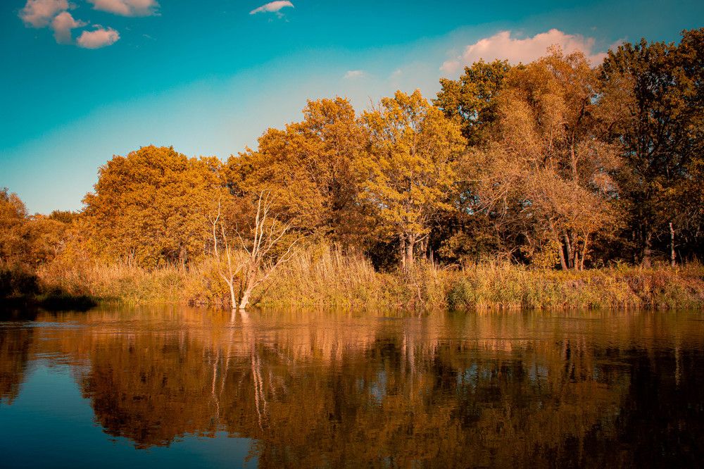 Фотография автора Миша Тараниченко