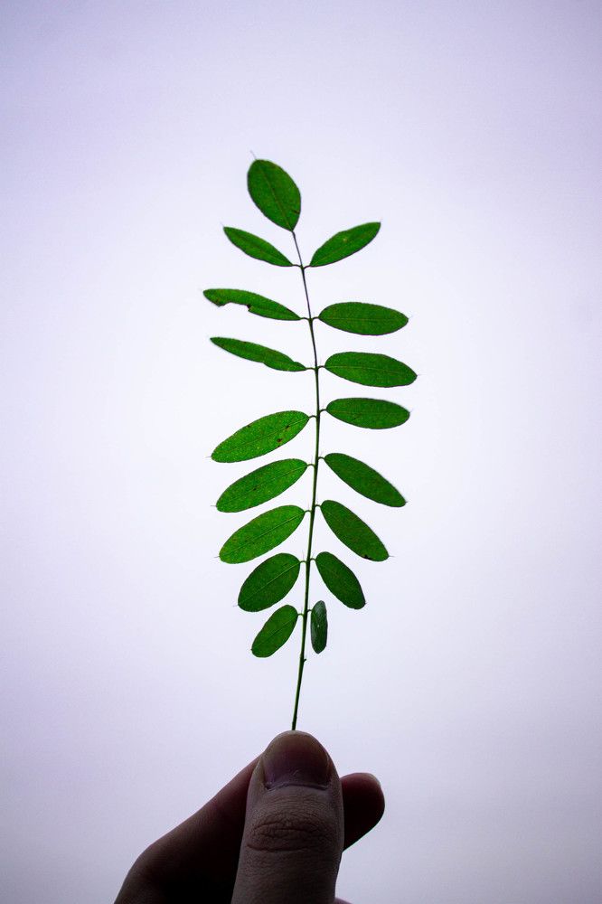 Фотография автора Миша Тараниченко