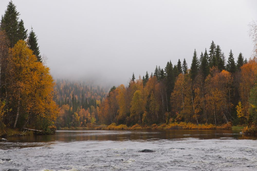 Photograph by Екатерина