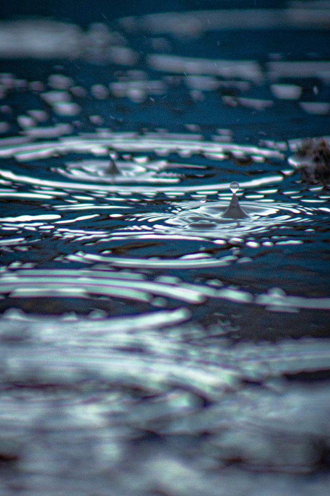 Фотография автора Миша Тараниченко