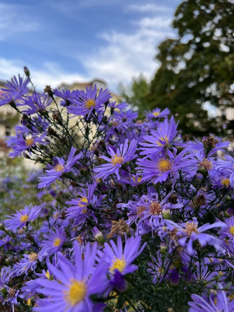 Photograph by Камилла Зозуля