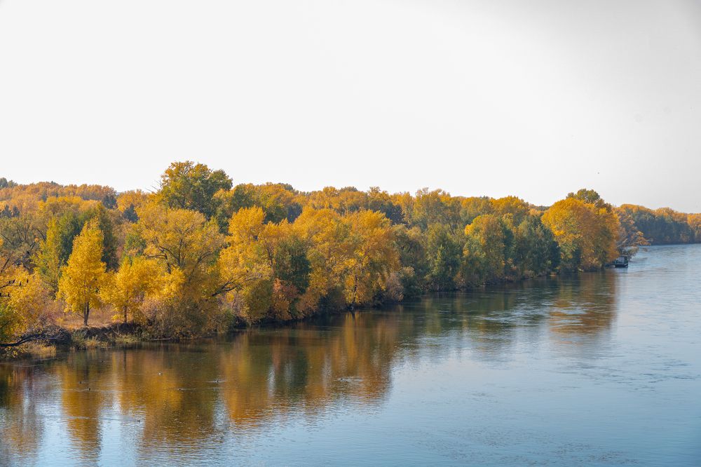 Photograph by Majestic ВКО