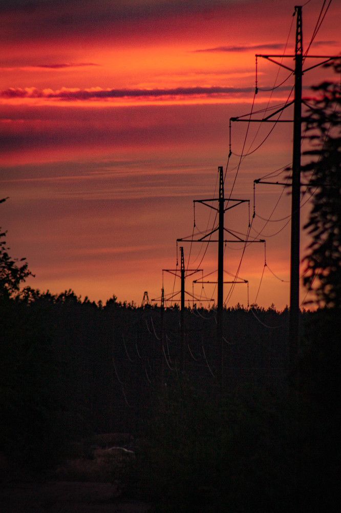 Фотография автора Миша Тараниченко