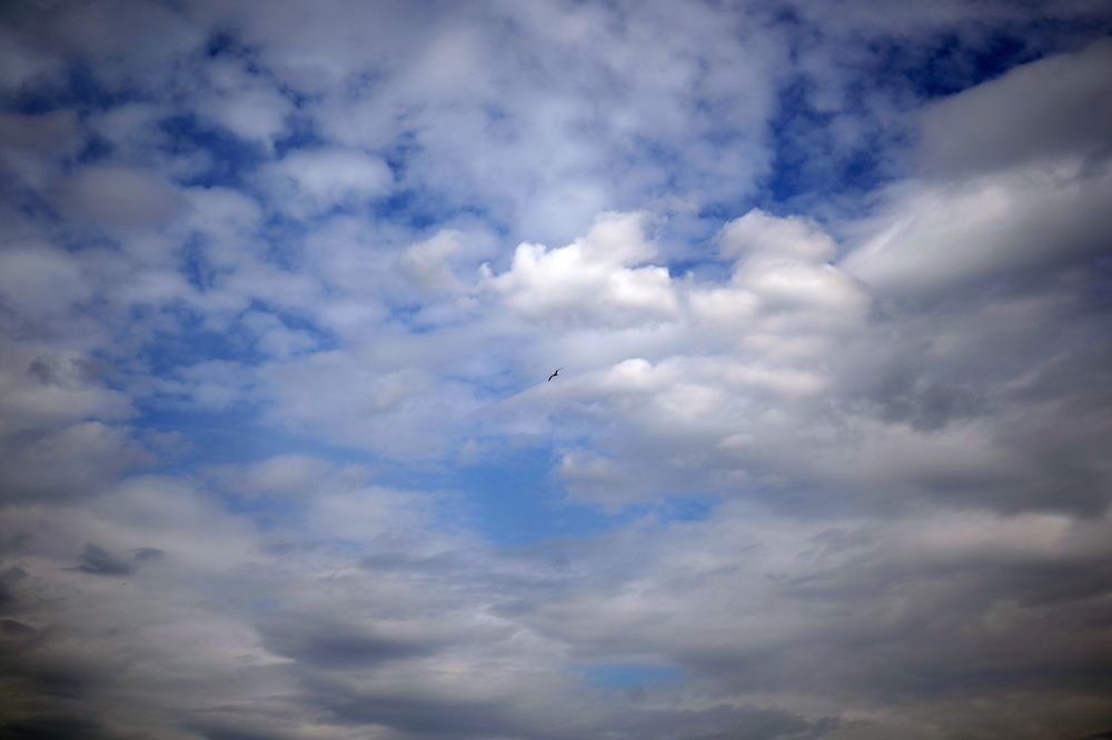 Photograph by Елена Копейкина