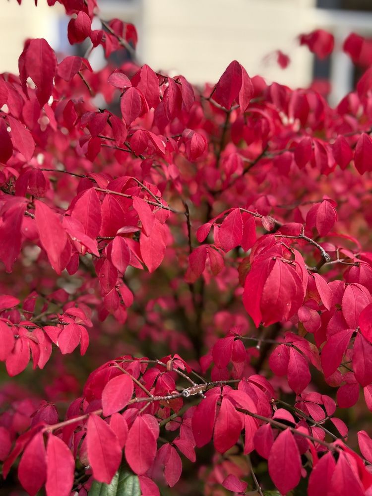 Photograph by Камилла Зозуля