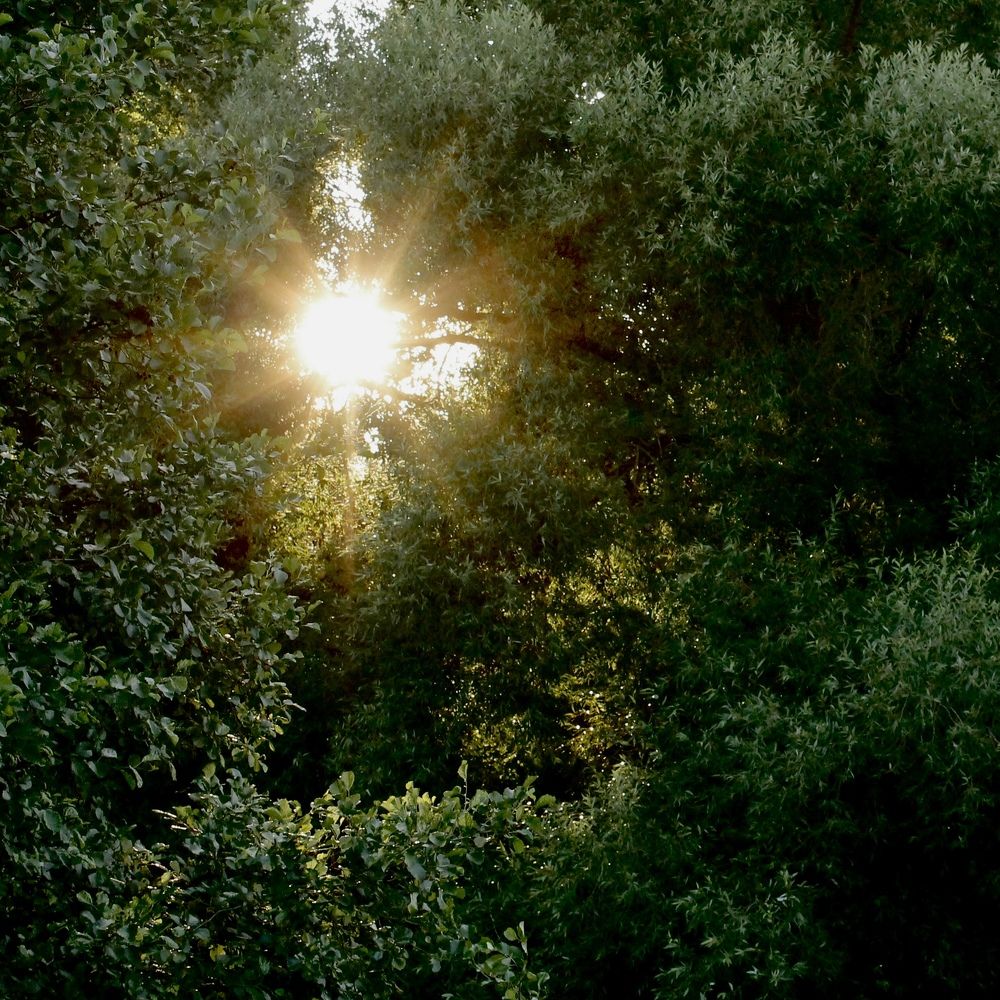 Photograph by Светлана Станевич