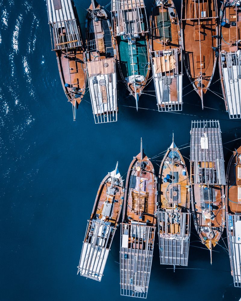 Photograph by Mohammed Al janabi