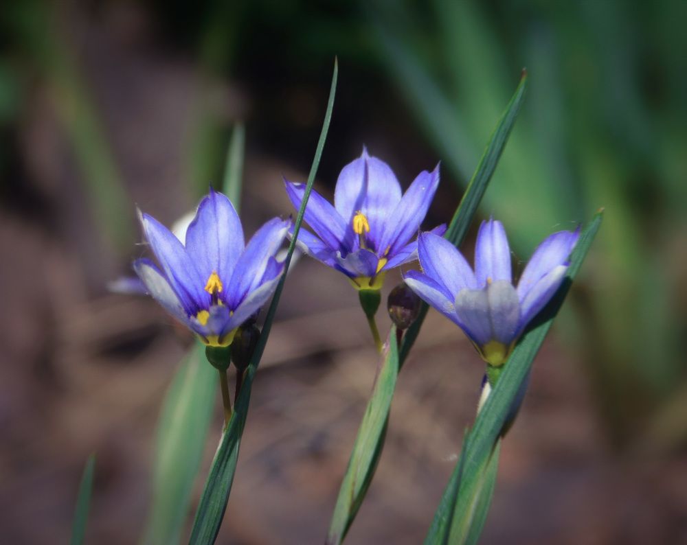 Photograph by Светлана Филимонова