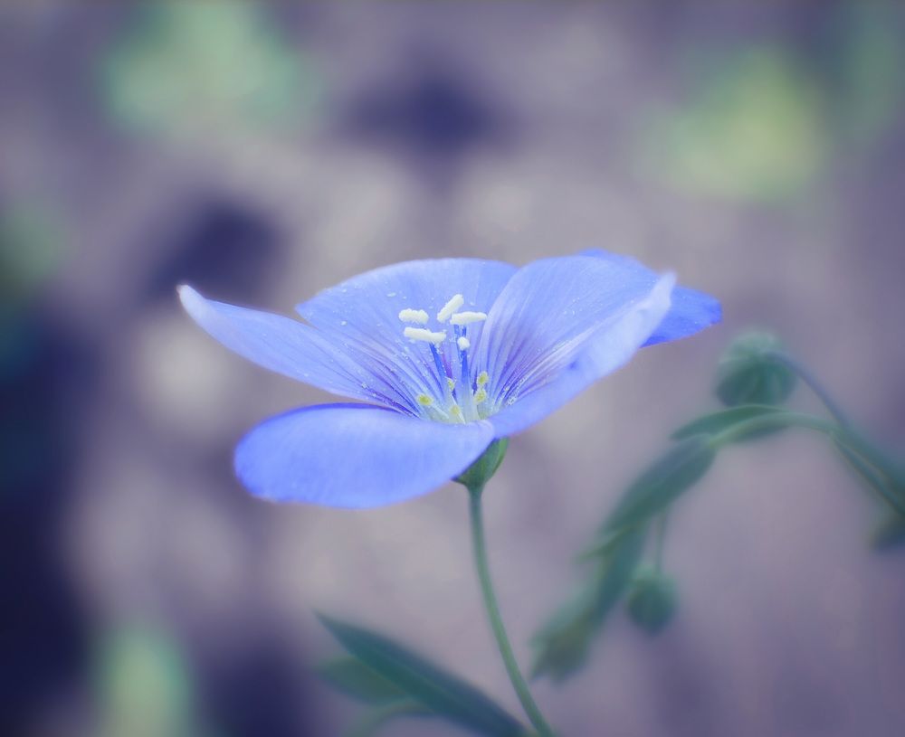 Photograph by Светлана Филимонова