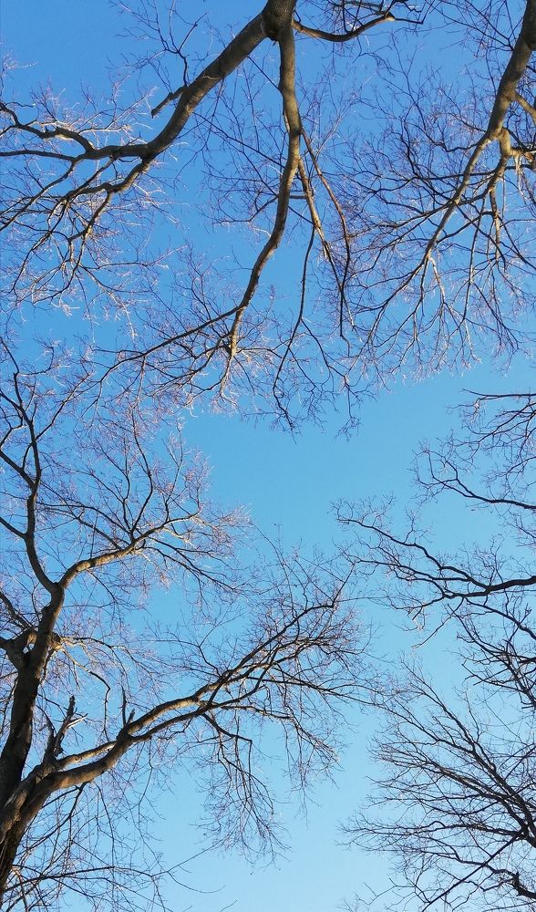 Photograph by Светлана Филимонова