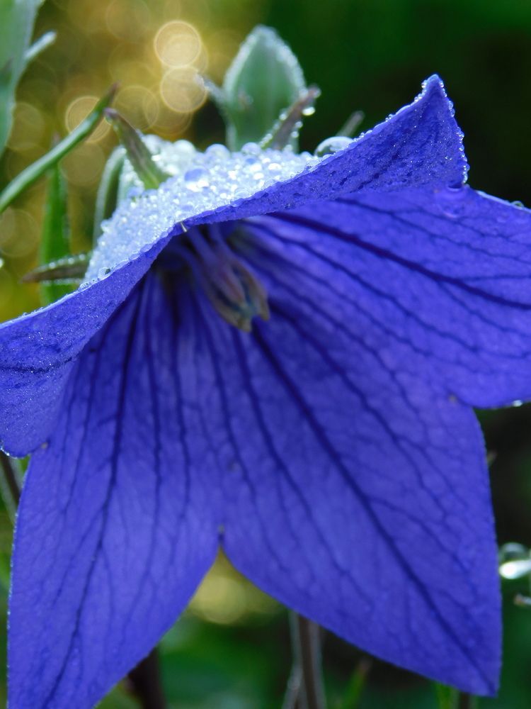 Photograph by Светлана Филимонова