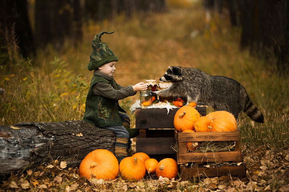 Фотография автора Мария Бородулина