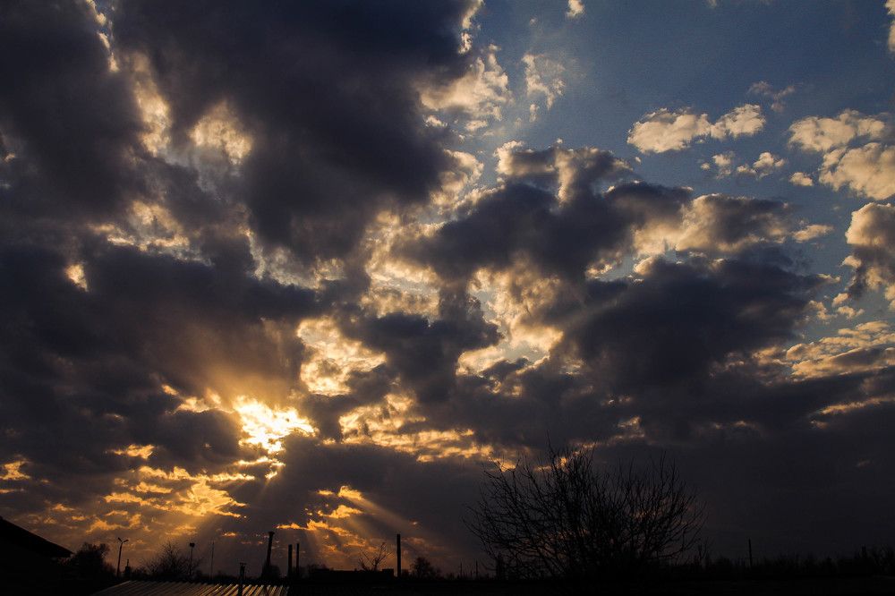 Фотография автора Миша Тараниченко