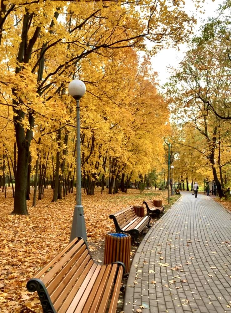 Photograph by Надежда Золотарёва