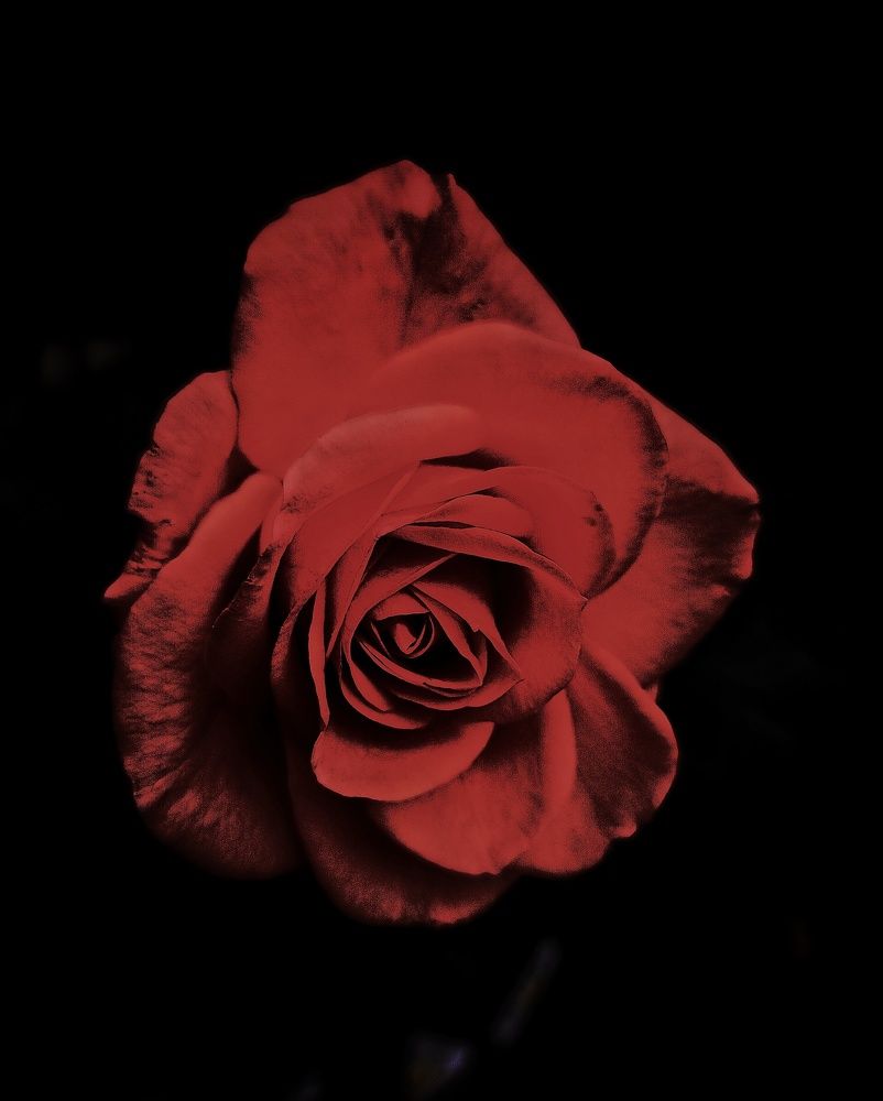 Photograph by Ольга Мартьянова