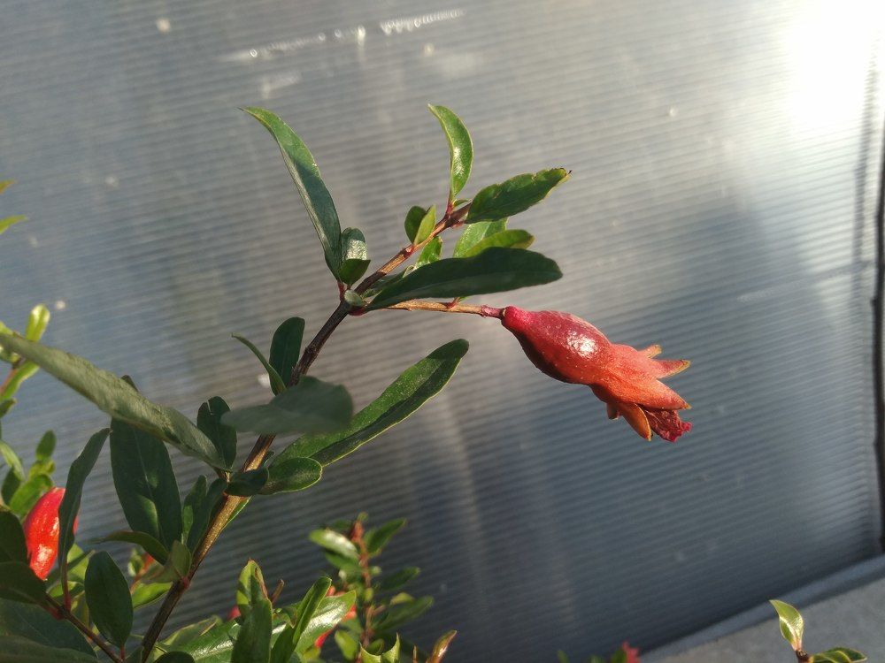 Photograph by Татьяна Ситникова