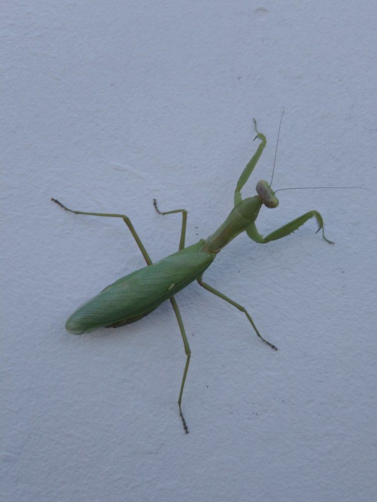 Photograph by Татьяна Ситникова