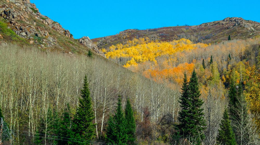 Photograph by Кожиков Данияр