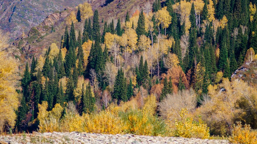 Photograph by Кожиков Данияр