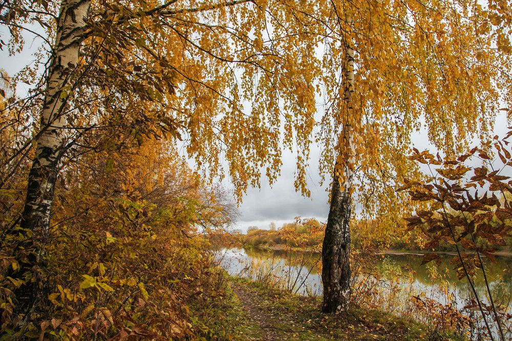 Photograph by Наталия