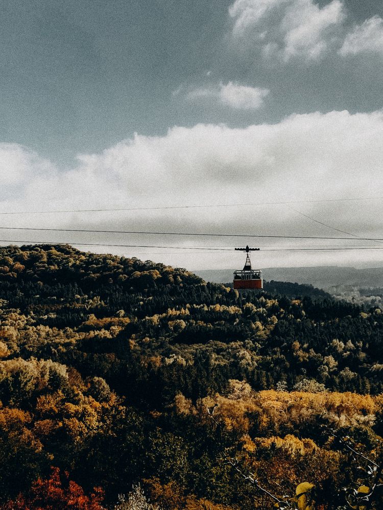 Photograph by Анна Лутошина