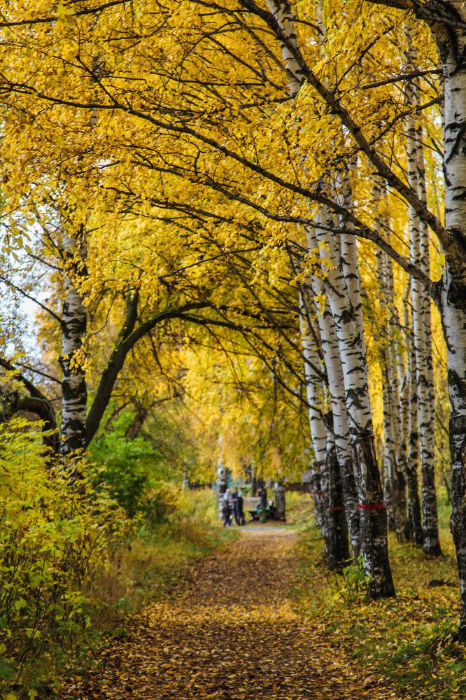 Photograph by Наталия