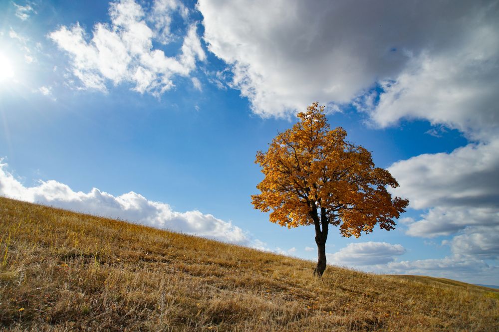 Photograph by Андрей Черкасов