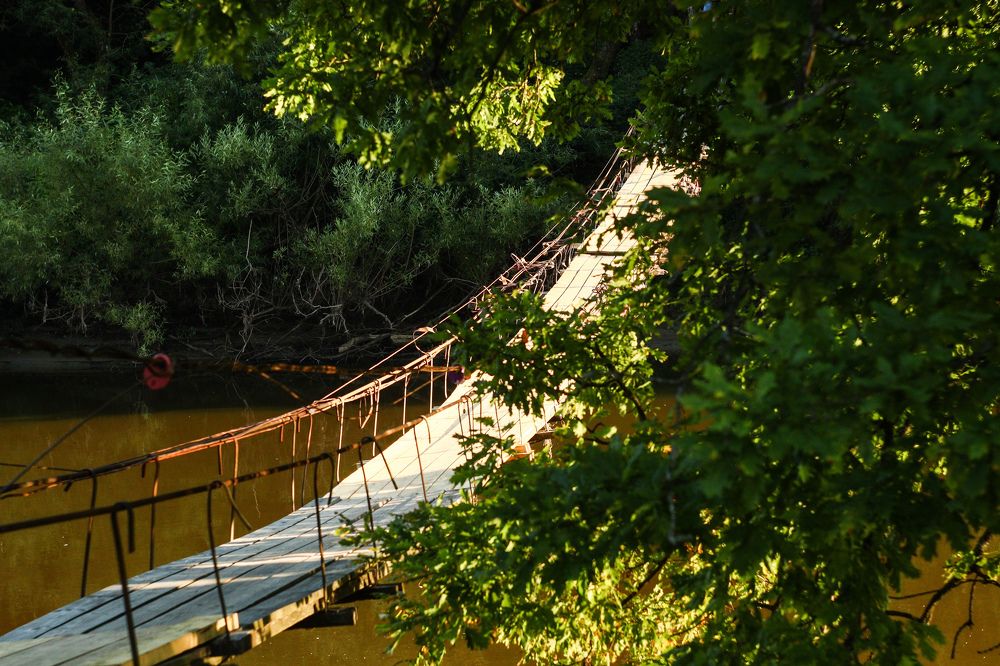 Photograph by Елена Квасова