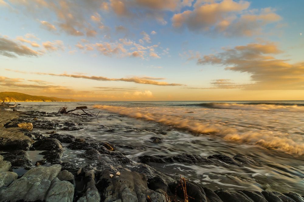 Photograph by Алексей Чеботарев