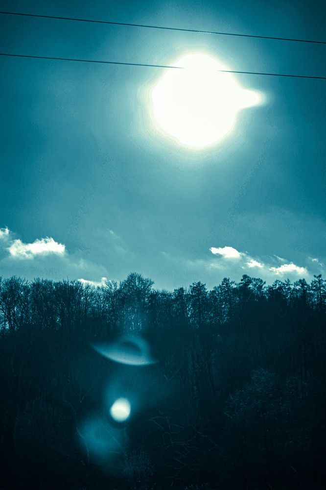 Фотография автора Миша Тараниченко