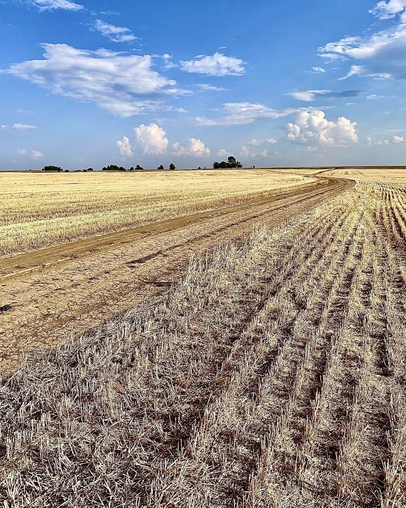 Photograph by Надежда Золотарёва
