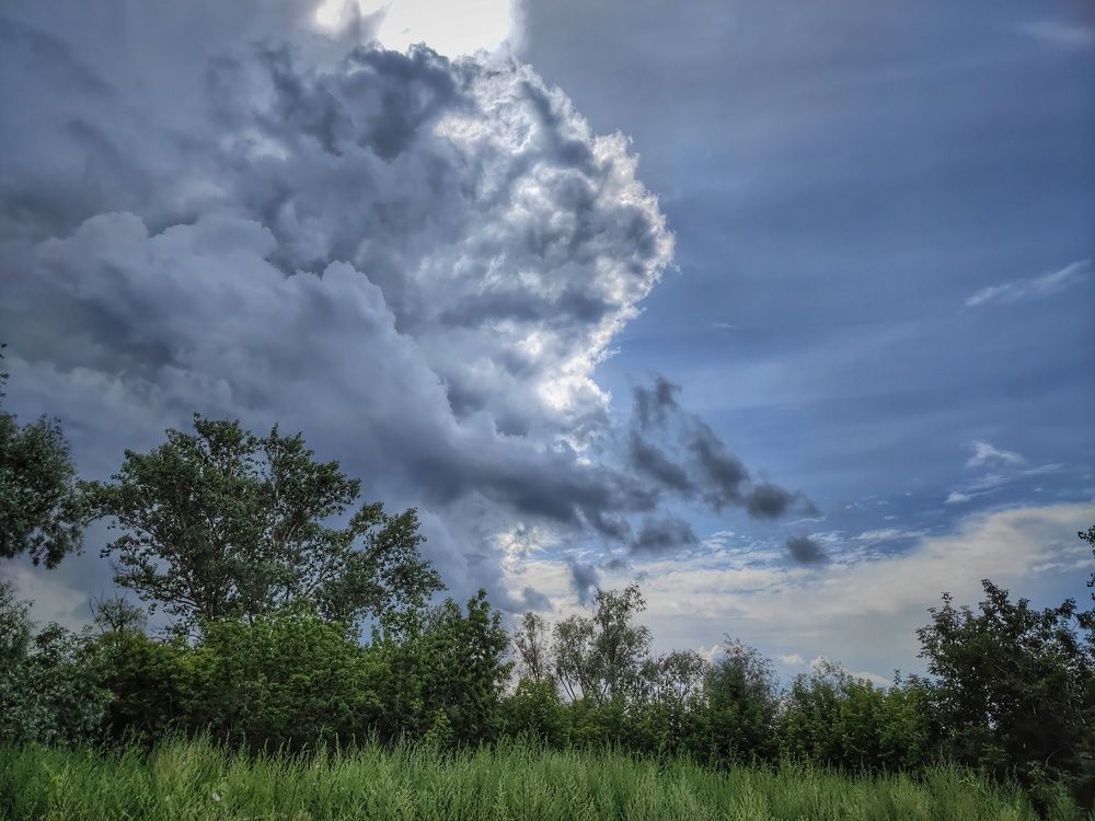 Photograph by Konstantin Martynov