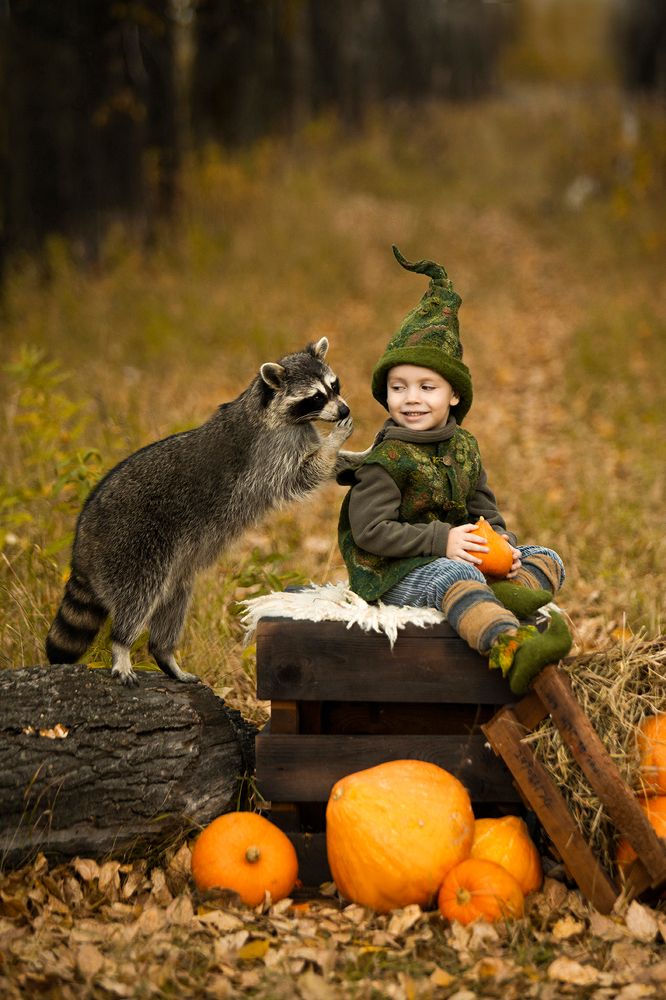 Фотография автора Мария Бородулина
