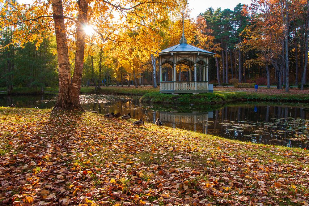 Photograph by Игорь Овсиенко