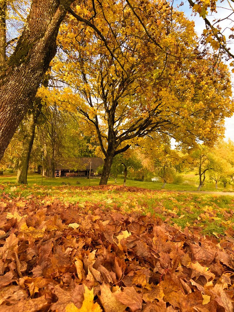 Photograph by Светлана Станевич