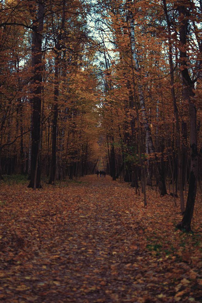 Photograph by Константин Власов