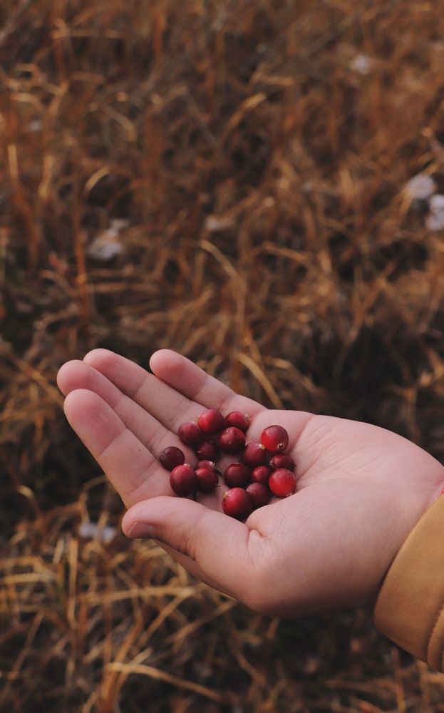 Photograph by Екатерина