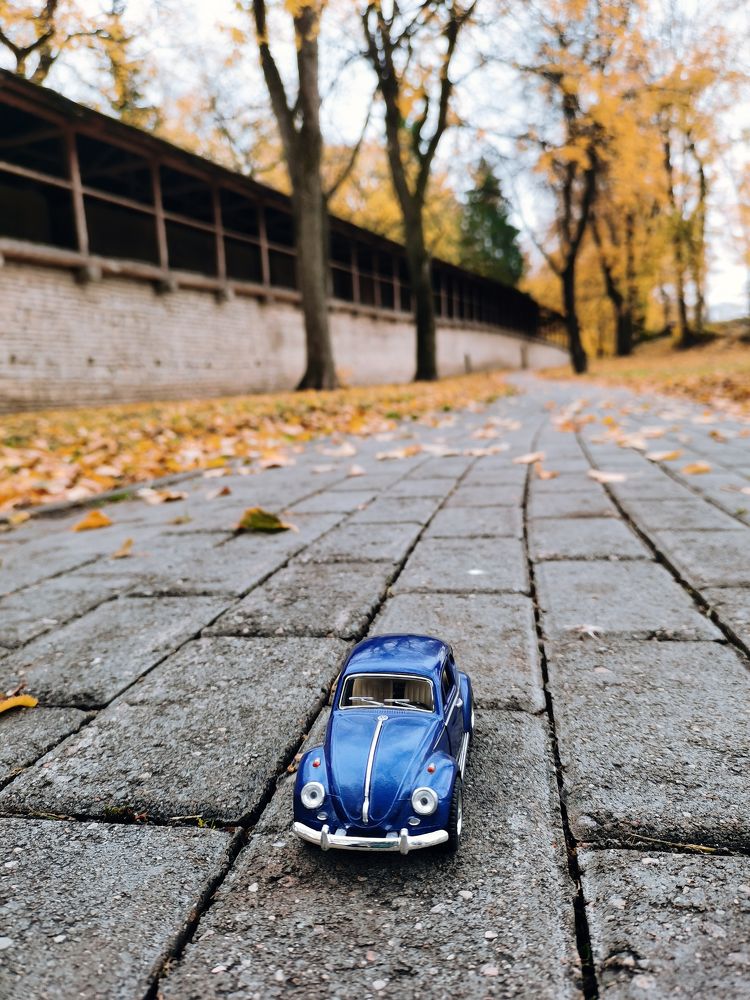 Photograph by Анна Сойтту