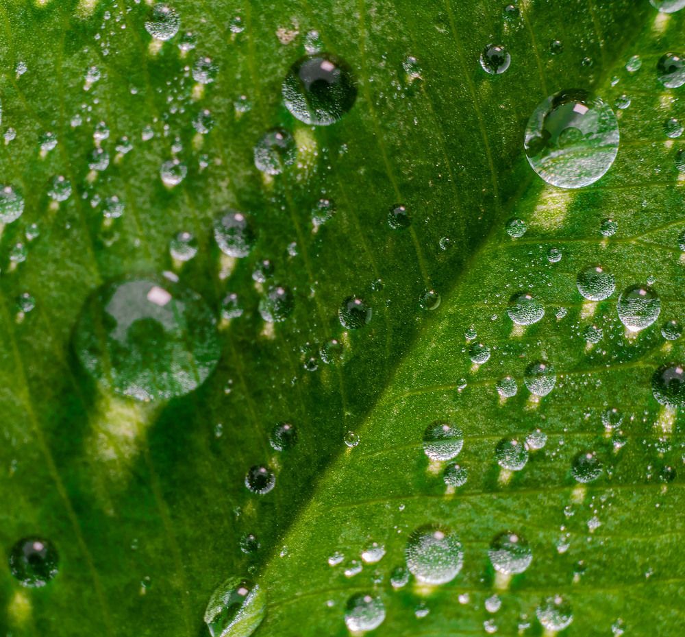 Photograph by Алексей Чеботарев